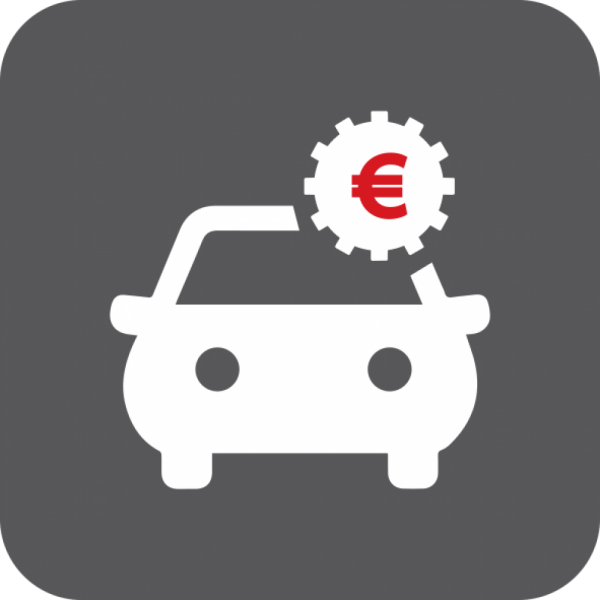 PAYMENT OF TRAFFIC FEES PAID BY MONTH FOR CAR IMMOBILITY REVOCATION